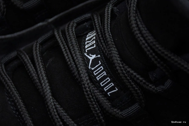 528895-010  11 Low Retro Jordan Barons 0212